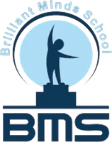 Brilliant Minds School
