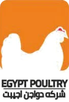 Egypt Poultry