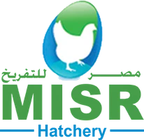 Misr Hatchery